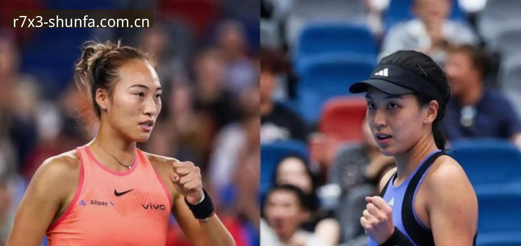2026法网女单抽签揭晓，郑钦文保分压力下的突破之路